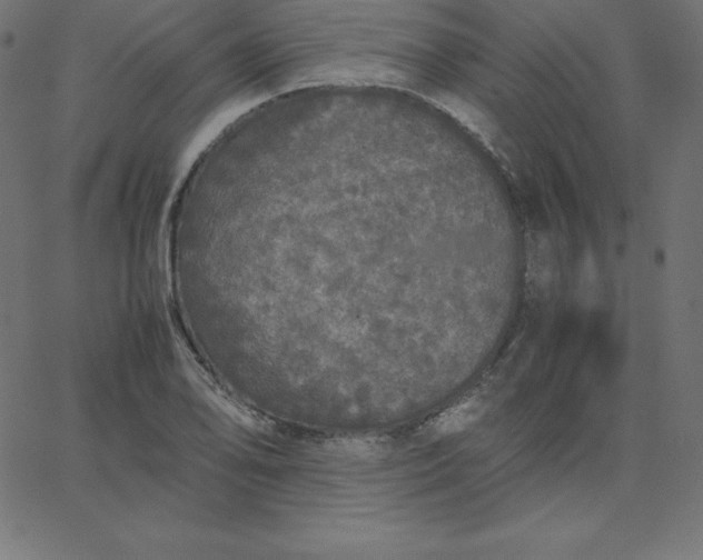 X0000067851078200604271639