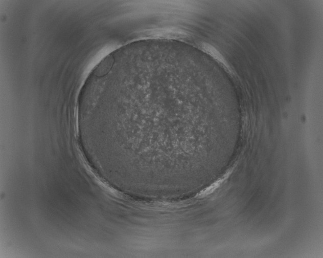 X0000067851079200604271639