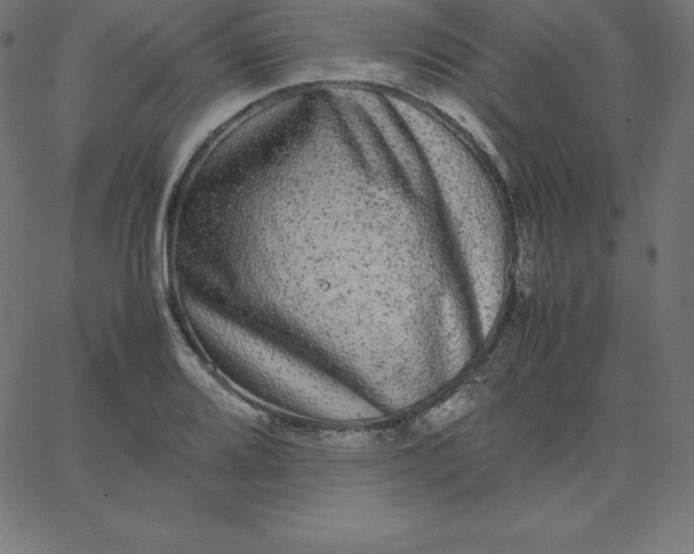 X0000067851080200604271639