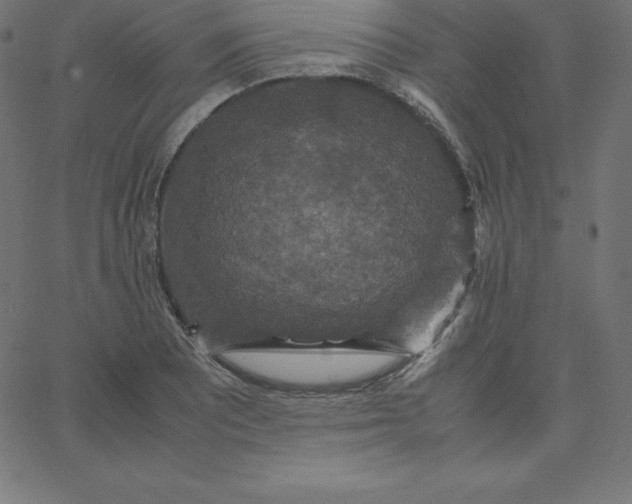 X0000067851081200604271639