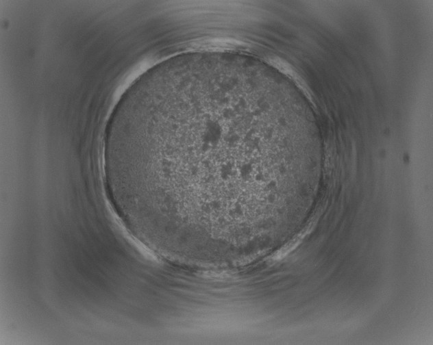 X0000067851083200604271639