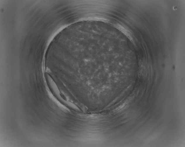 X0000067851084200604271639