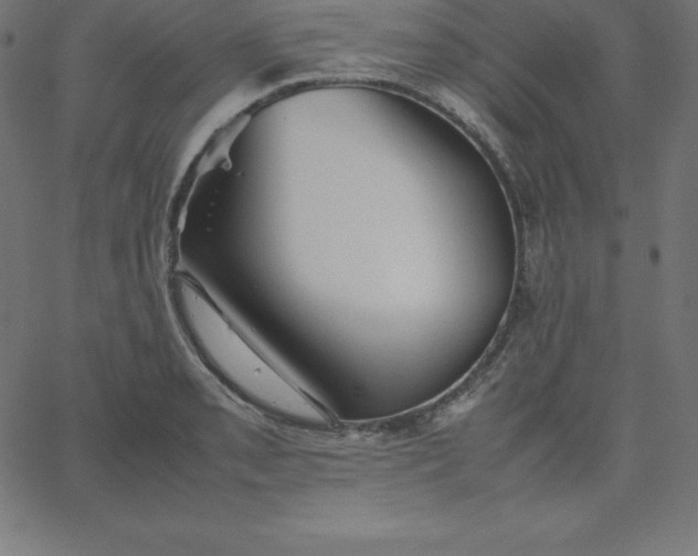 X0000067851085200604271639