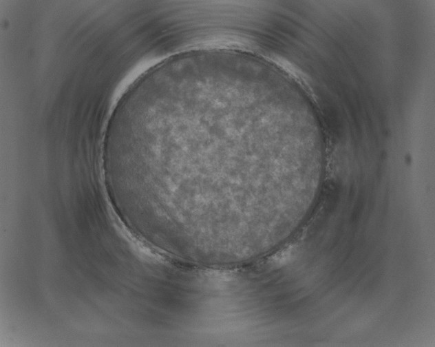 X0000067851086200604271639