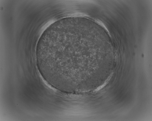 X0000067851087200604271639