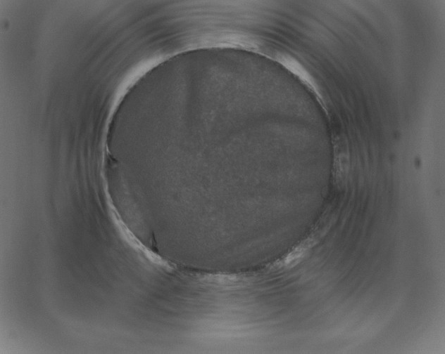 X0000067851088200604271639