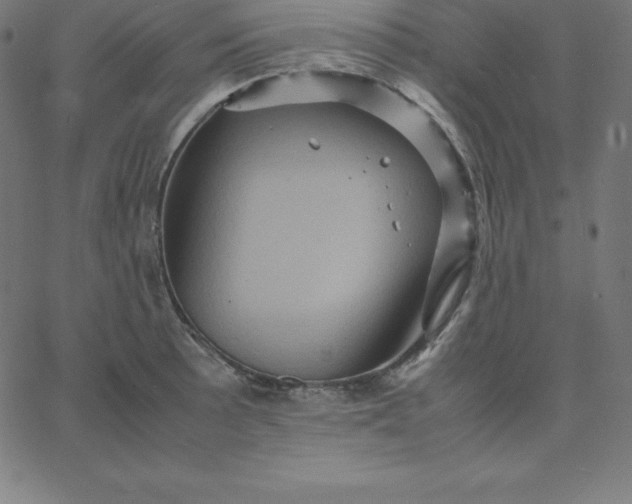 X0000067851089200604271639