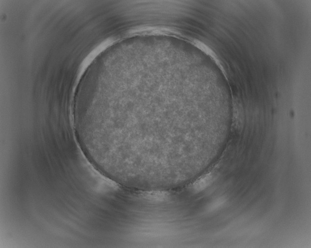 X0000067851090200604271639