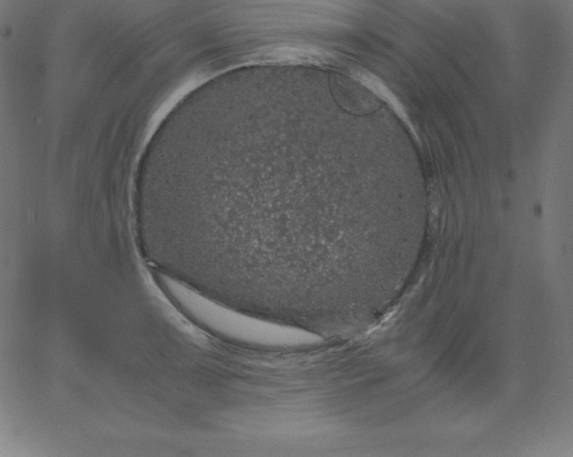 X0000067851091200604271639