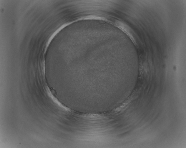 X0000067851092200604271639