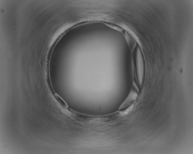 X0000067851093200604271639