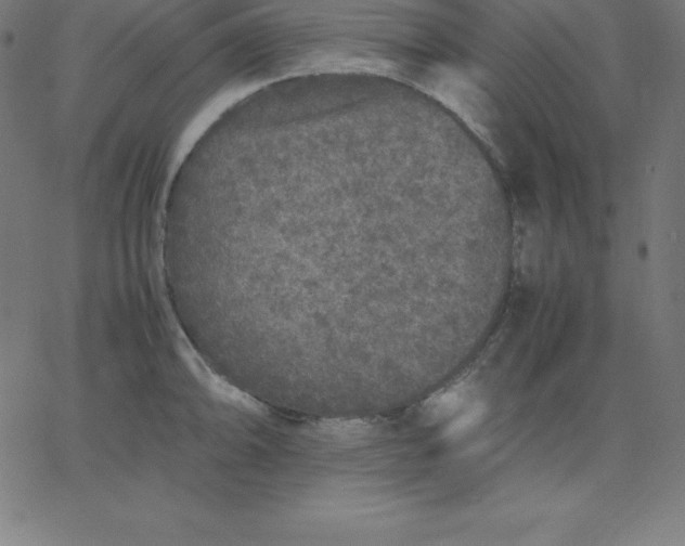 X0000067851094200604271639