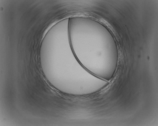 X0000067851097200604271639