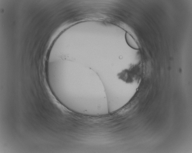 X0000067851099200604271639