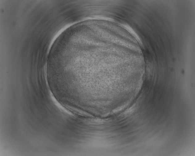 X0000067851100200604271639