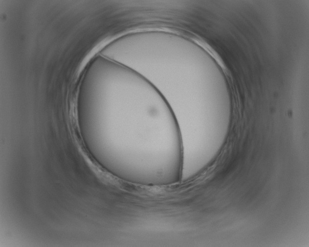 X0000067851101200604271639