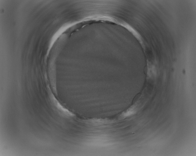 X0000067851102200604271639