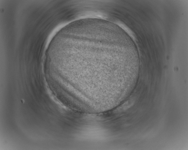 X0000067851104200604271639