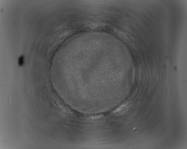 X0000067851105200604271638