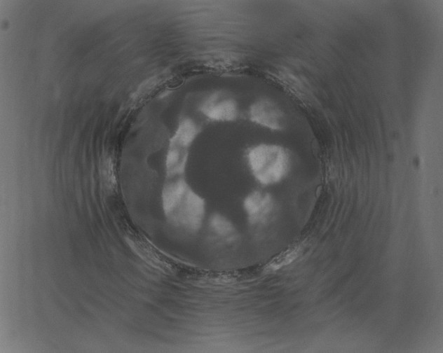 X0000067851106200604271638