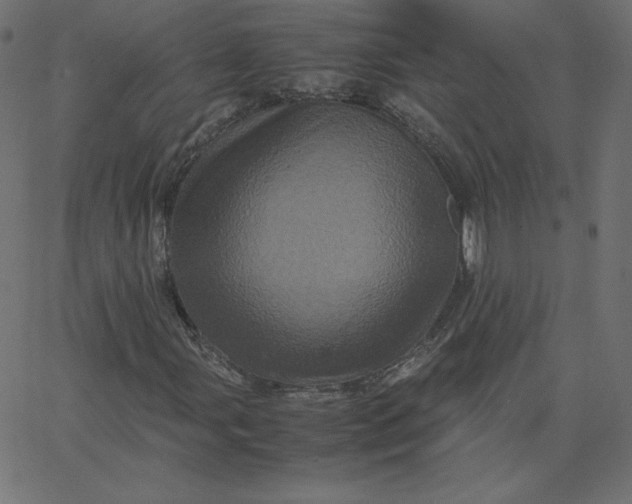 X0000067851107200604271638