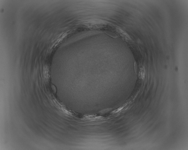 X0000067851108200604271638