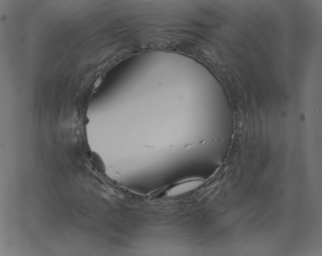 X0000067851109200604271638