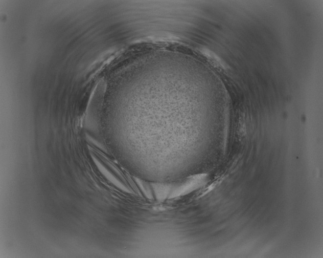 X0000067851110200604271638