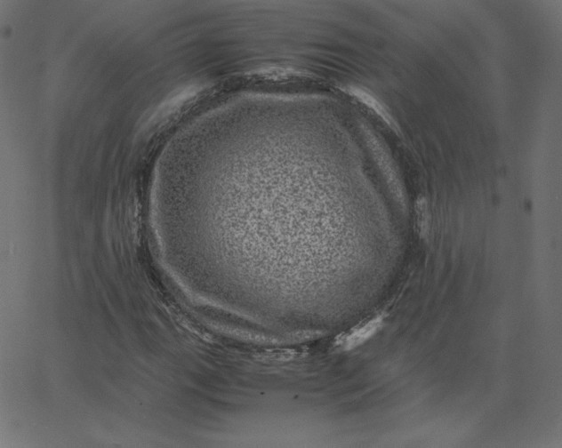 X0000067851111200604271638