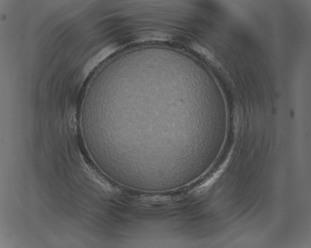 X0000067851113200604271638