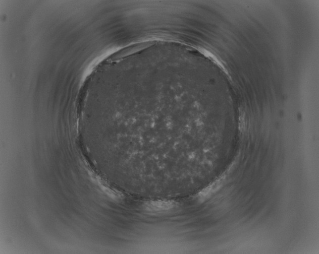 X0000067851117200604271638