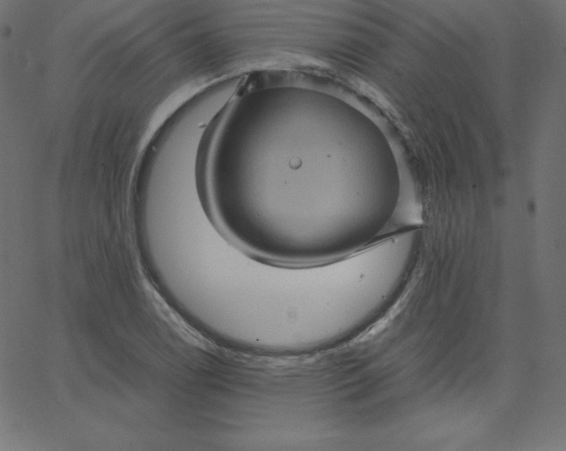 X0000067851122200604271638