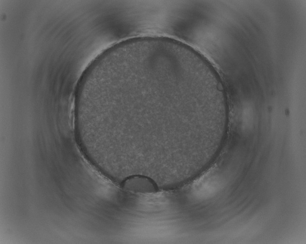 X0000067851126200604271638