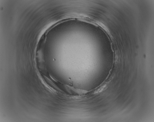 X0000067851128200604271638