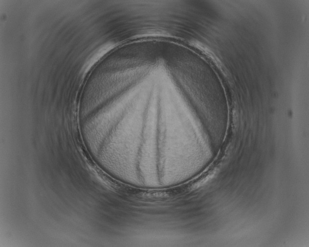 X0000067851129200604271638