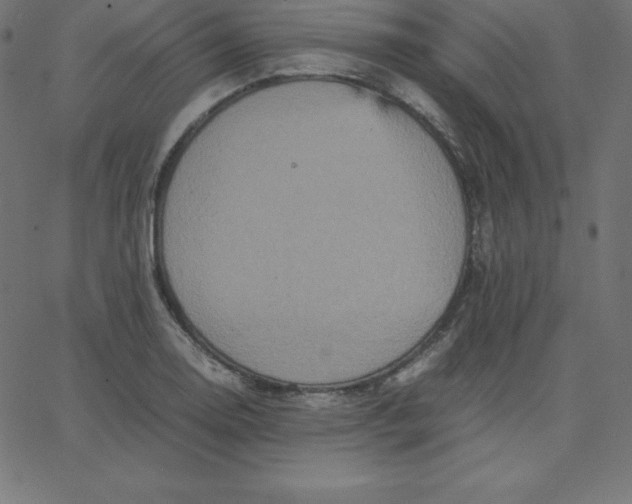 X0000067851130200604271638