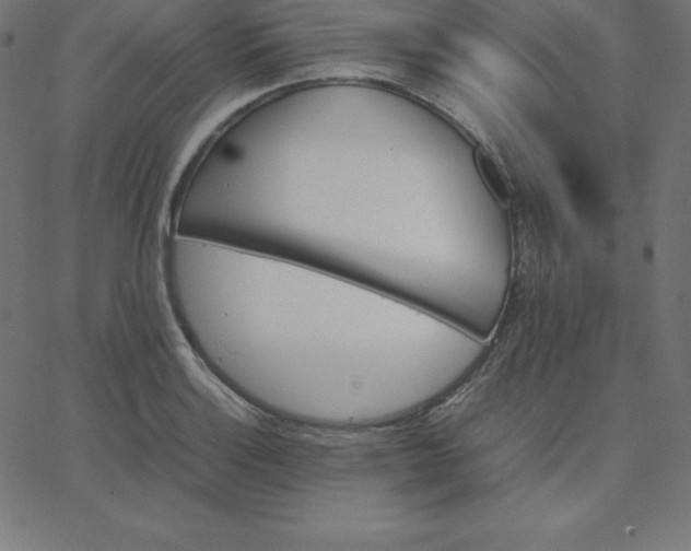 X0000067851132200604271638