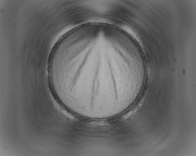 X0000067851133200604271638