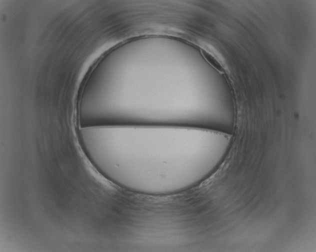 X0000067851136200604271638