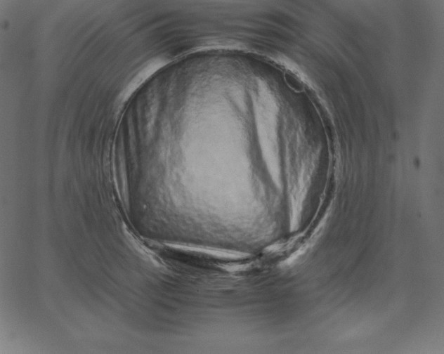 X0000067851137200604271638