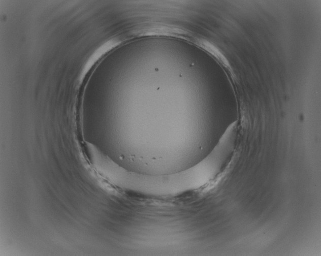 X0000067851138200604271638