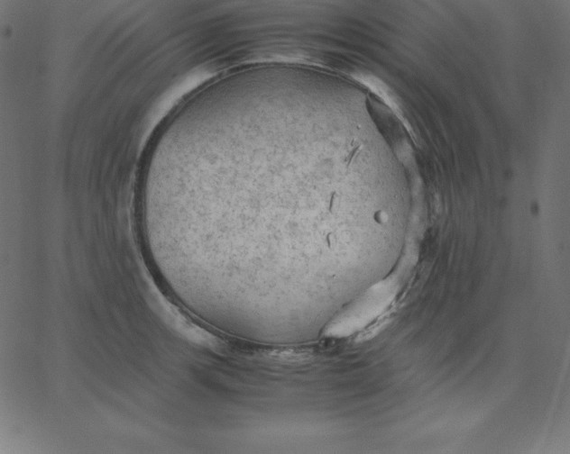 X0000067851139200604271638