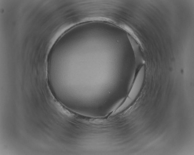 X0000067851140200604271638