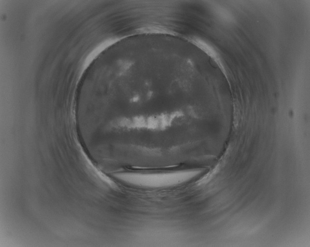 X0000067851141200604271638