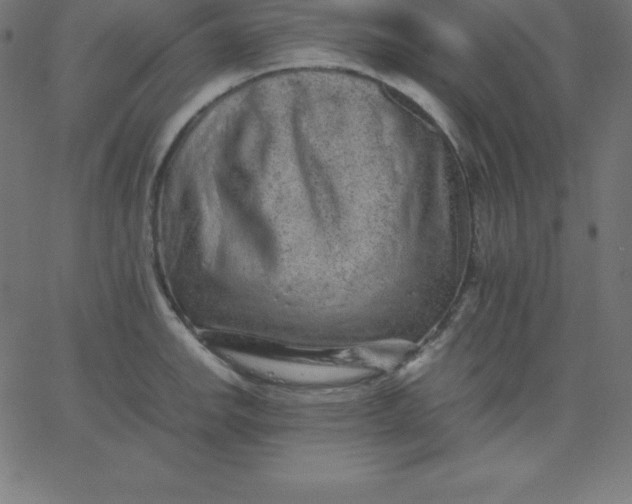 X0000067851142200604271638