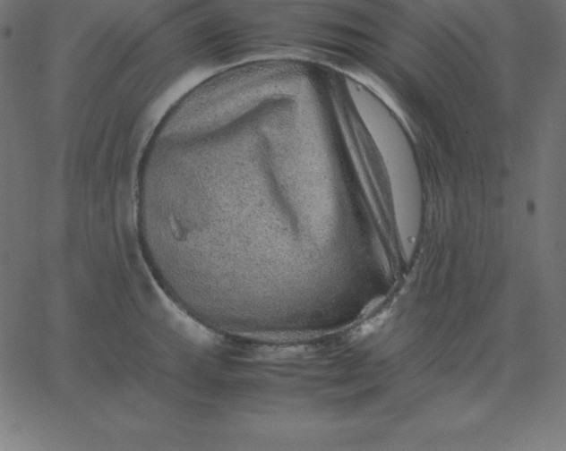 X0000067851143200604271638