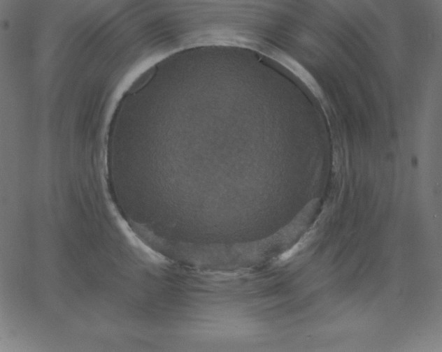 X0000067851144200604271638