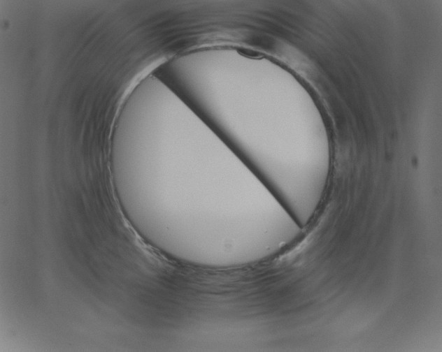 X0000067851145200604271638