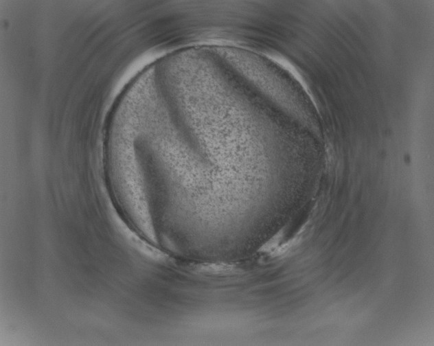 X0000067851147200604271638