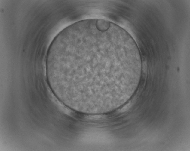 X0000067851150200604271638